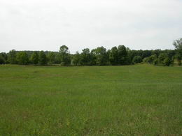 Lovely 2.5 Acres in Mono - Country homes for sale and luxury real estate including horse farms and property in the Caledon and King City areas near Toronto